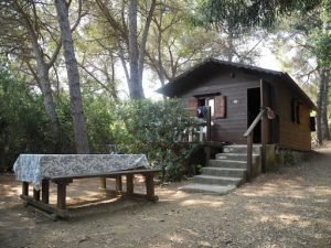 Cabin Pantai Berkelas di Pesisir Eropa
